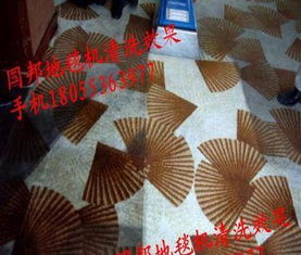 威霸國邦R 150SV VB16標準型蒸汽干洗地毯機 專業清潔的得力助手